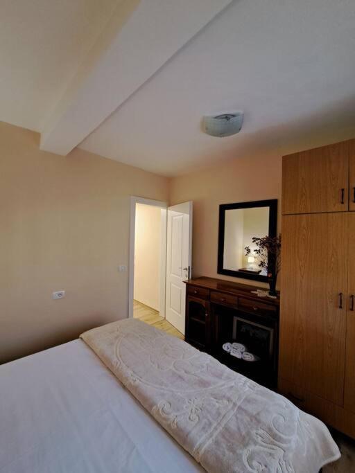 Quiet, Cozy, Luminous Apartment Tirana Esterno foto