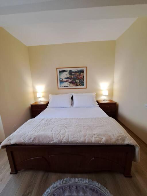 Quiet, Cozy, Luminous Apartment Tirana Esterno foto