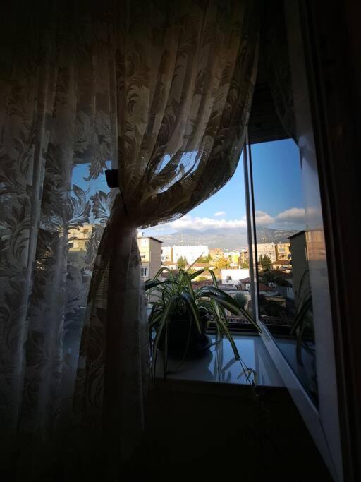 Quiet, Cozy, Luminous Apartment Tirana Esterno foto