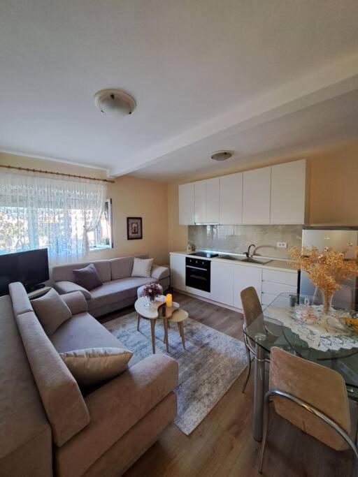 Quiet, Cozy, Luminous Apartment Tirana Esterno foto